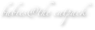 babies@the catpack
- unser Nachwuchs -